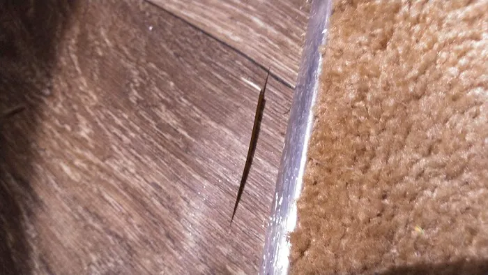 Chapman Services LLC Picture 2