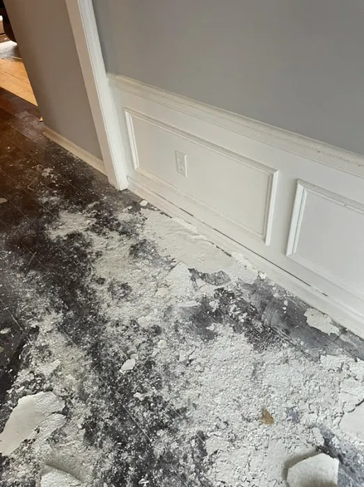 Ensign Building Solutions Picture 10