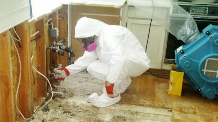 Code Red Restoration LLC Picture 1