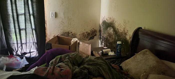 Code Red Restoration LLC Picture 3