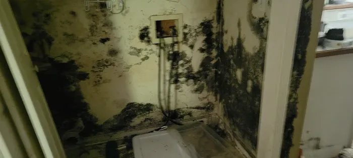 Code Red Restoration LLC Picture 10