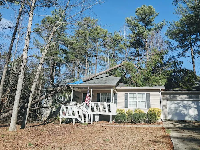 Penco Restoration Picture 7