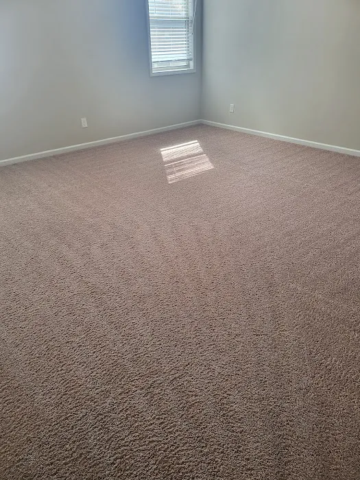 Revive Carpet Cleaning and Repair Picture 1