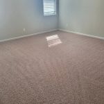 Revive Carpet Cleaning and Repair