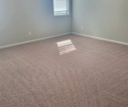 Revive Carpet Cleaning and Repair
