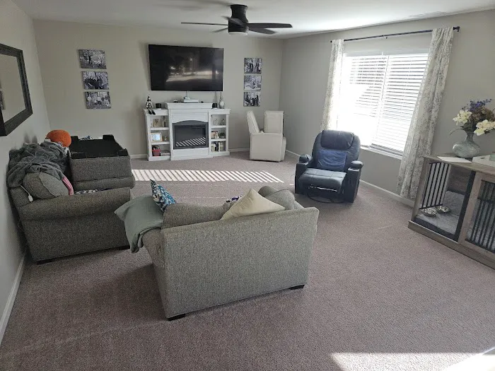 Revive Carpet Cleaning and Repair Picture 2