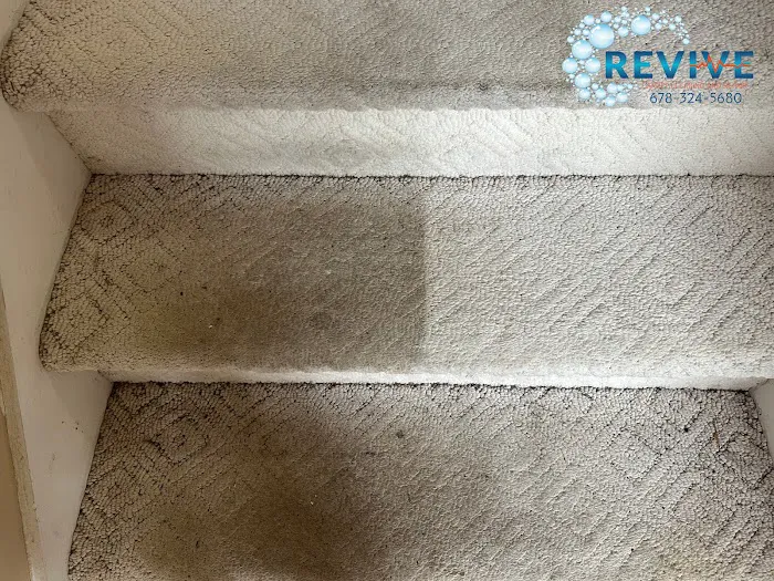 Revive Carpet Cleaning and Repair Picture 3