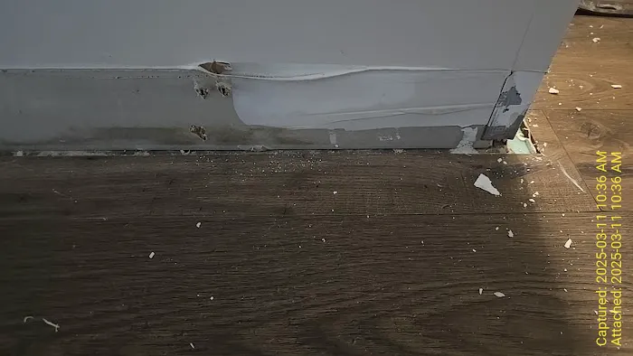 Northeastern Restoration Picture 7