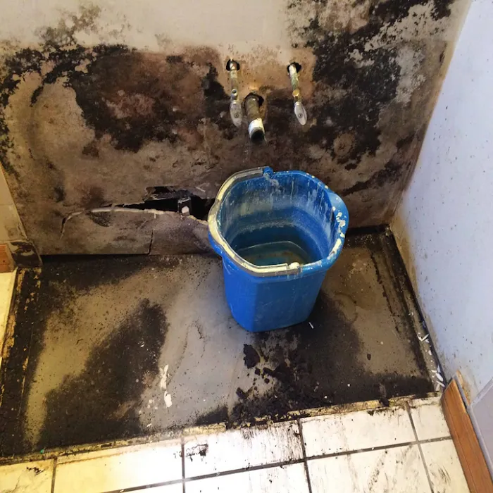 Restoration Specialist Picture 2