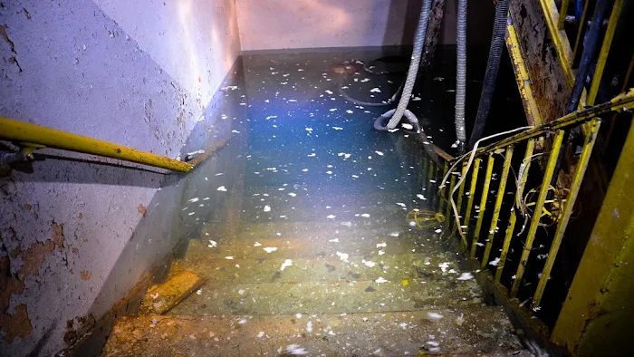 Restoration Specialist Picture 1