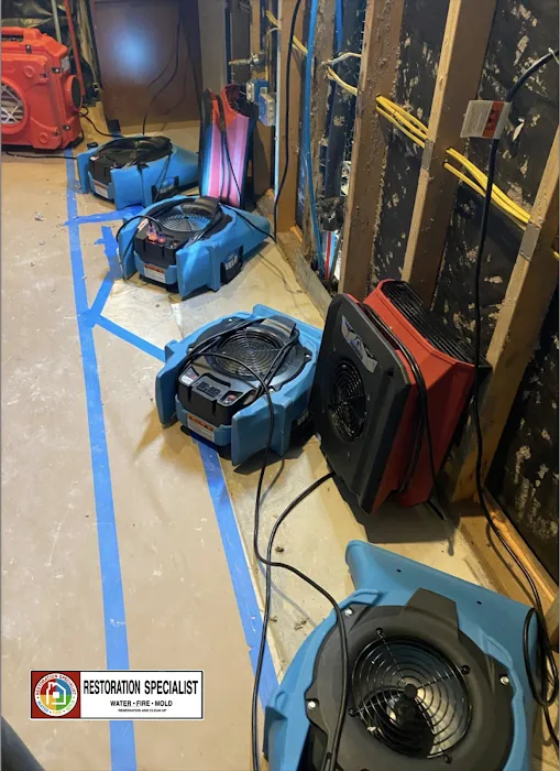 Restoration Specialist Picture 6