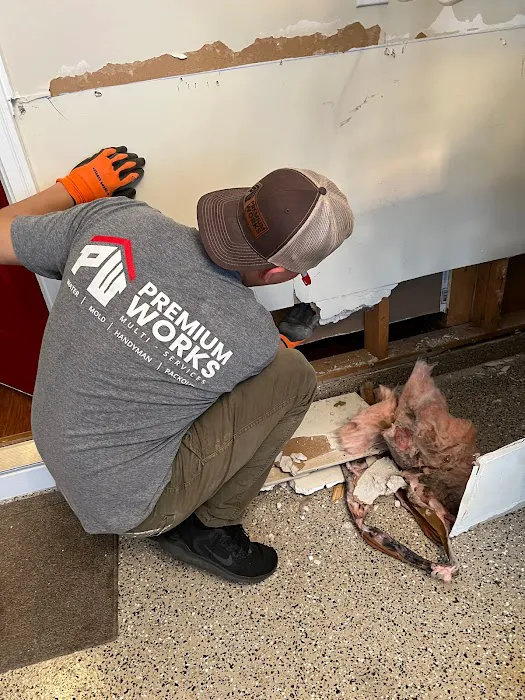 Premium Works Multi-Services Picture 10