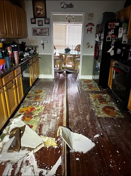 Ark Restoration Picture 2