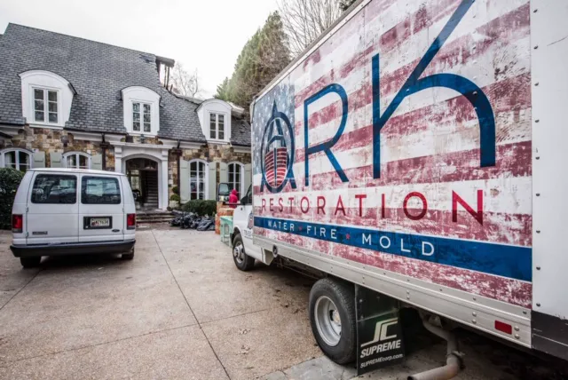 Ark Restoration Picture 1