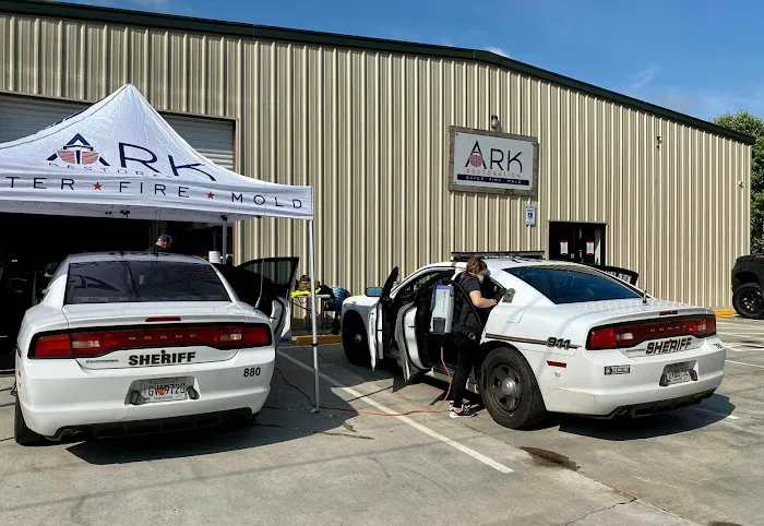 Ark Restoration Picture 4