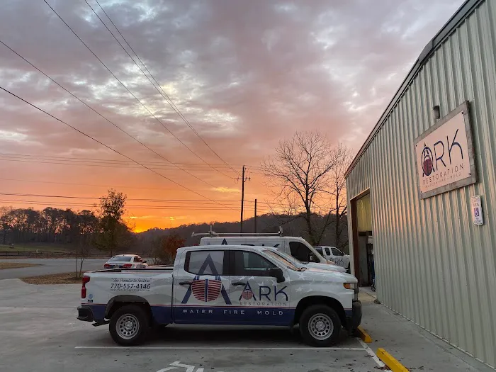 Ark Restoration Picture 6