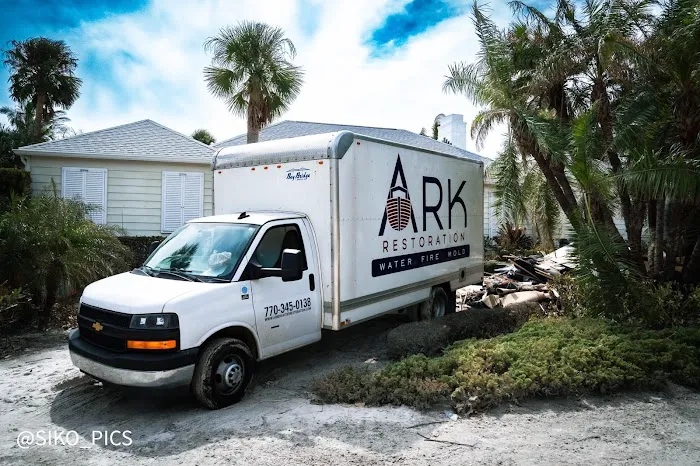 Ark Restoration Picture 5