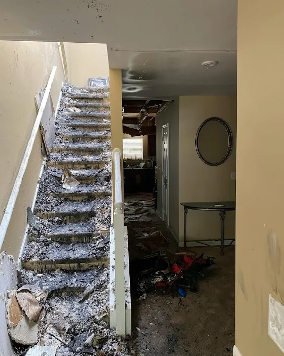 Ark Restoration Picture 8