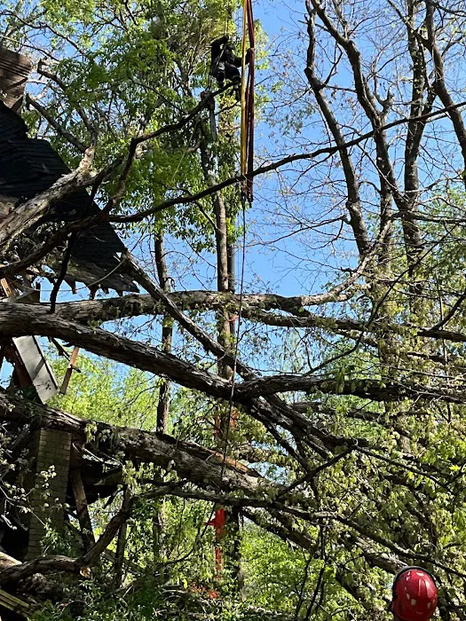 Complete Water Removal and Restoration Inc. Picture 6