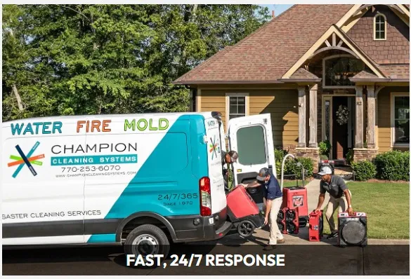 Champion Cleaning Systems Inc Picture 1