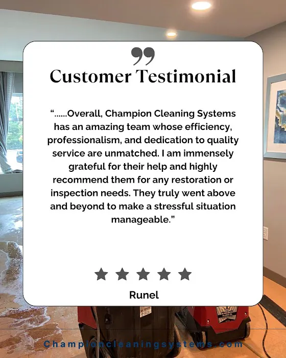 Champion Cleaning Systems Inc Picture 5