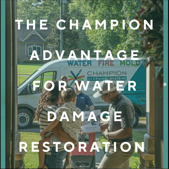 Champion Cleaning Systems Inc Picture 9