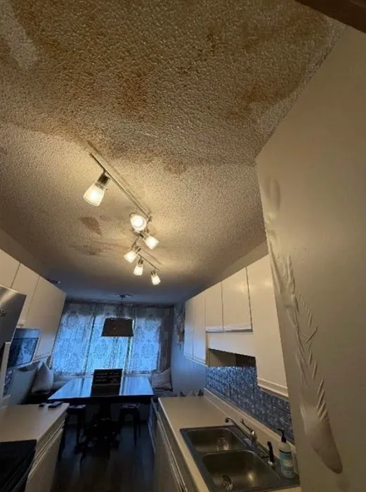 Athens Water Damage Picture 4