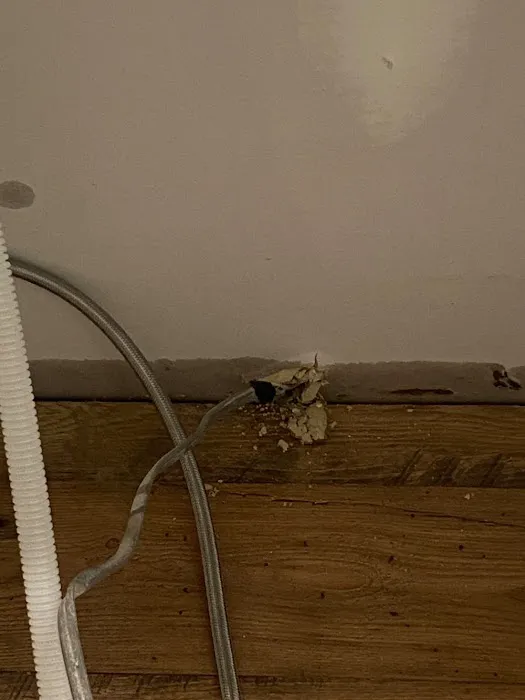 Athens Water Damage Picture 5