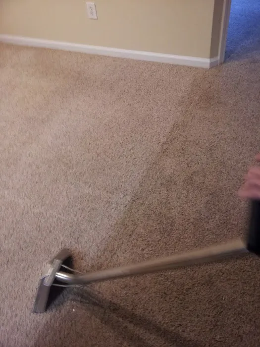 Eagle Carpet Care Picture 3