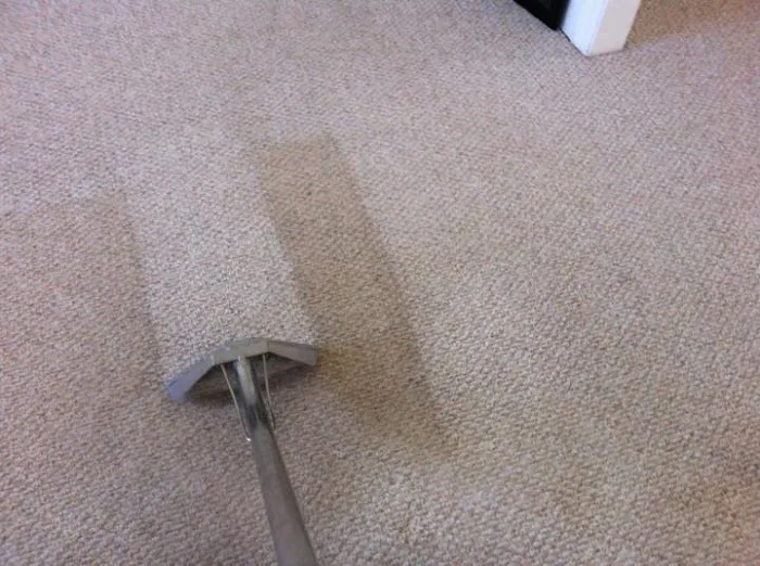 Eagle Carpet Care Picture 2