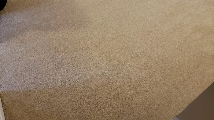 Eagle Carpet Care Picture 1