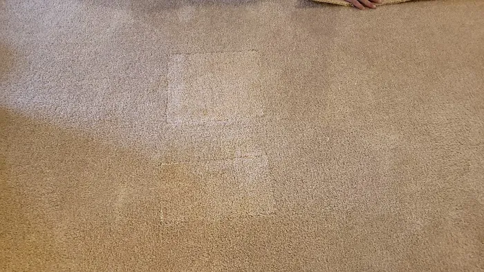 Eagle Carpet Care Picture 5