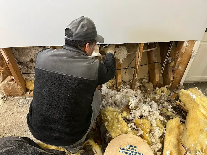 Pro-Tech Restoration Services Picture 4