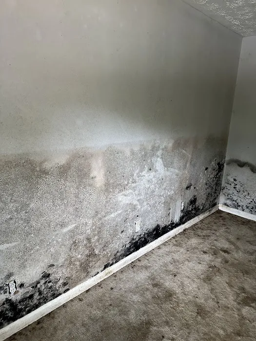 Certified Dry Picture 9