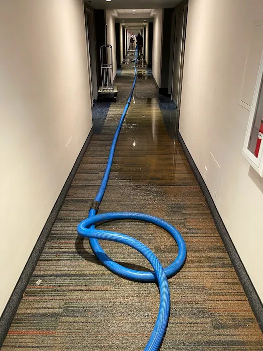 Certified Dry Picture 5