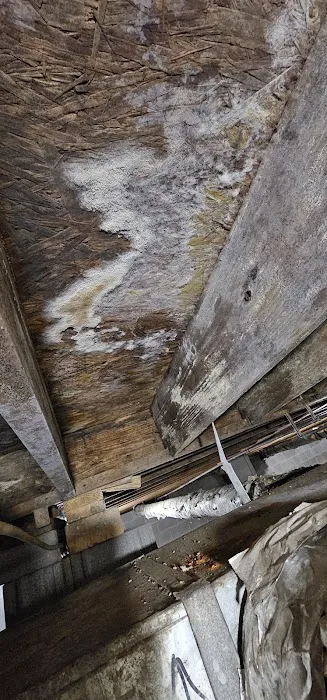 ProClean Services Picture 8