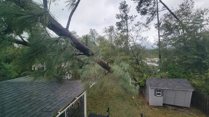 Crown Disaster Management Picture 6