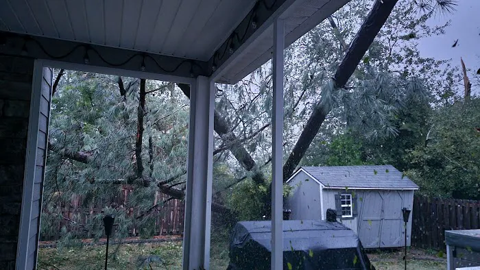 Crown Disaster Management Picture 8