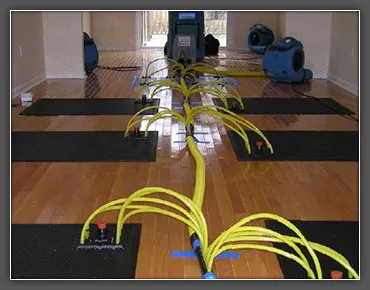 XSI Disaster Services Picture 5