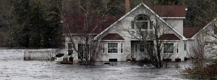 XSI Disaster Services Picture 3