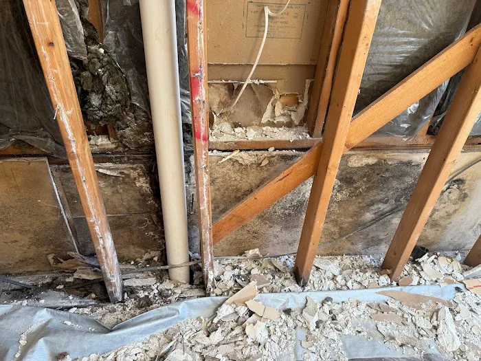 No Mold Atlanta Picture 3