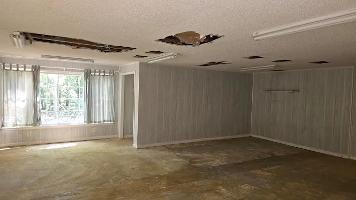 No Mold Atlanta Picture 2