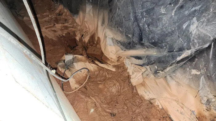 No Mold Atlanta Picture 9