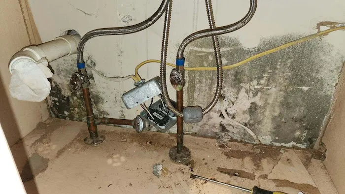 No Mold Atlanta Picture 5