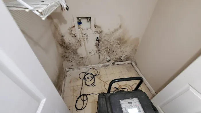 MoldTrust, Inc Picture 2