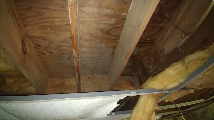 MoldTrust, Inc Picture 1