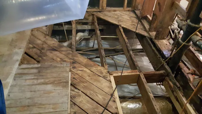 MoldTrust, Inc Picture 6