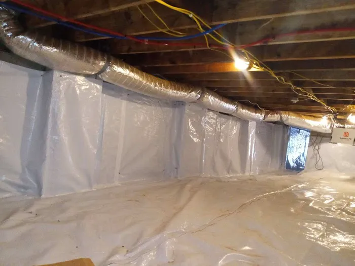 MoldTrust, Inc Picture 4