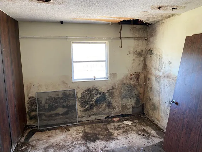 MoldTrust, Inc Picture 10