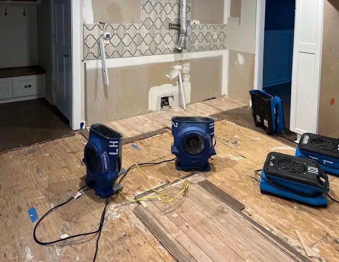 Lanier Home Restoration Picture 8